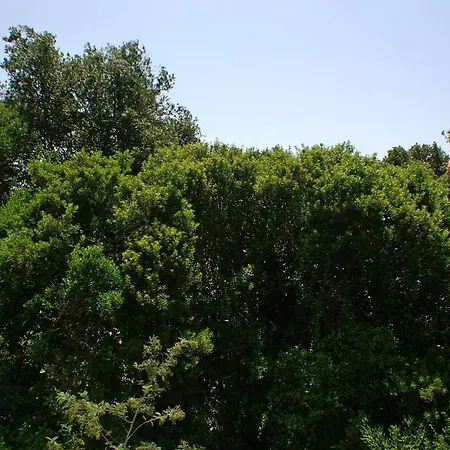 By The Sea Drace, Peljesac - 4550 *